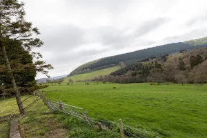 An image of our private views from our glamping wagons in North Yorkshire, based in Dalby Forest. The perfect getaway.