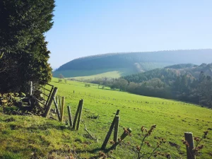 An image overlooking from our wagon area at Bickley rigg farm. Enjoy the views from Dalby Forest, North Yorkshire.