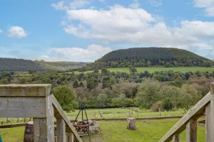 These are the private views from our circus glamping wagon based in Dalby Forest, North Yorkshire.